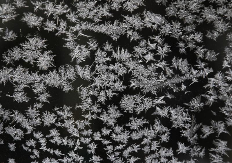 Ice crystals are seen on a window at Skanes Djurpark, a zoo in Hoor, southern Sweden/ REUTERS/Yves Herman 
